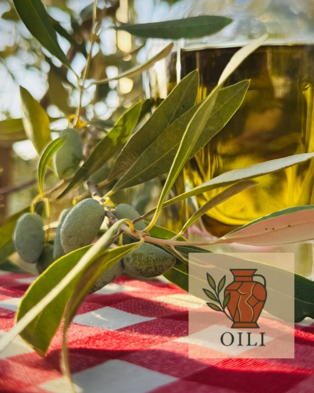 OILI - Varhaisen sadon suodattamaton ekstra-neitsytoliiviöljy 3L